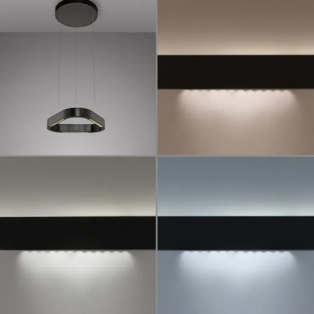 Paul Neuhaus LED Pendelleuchte Q-STRETTO, schwarz,
