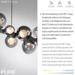 Paul Neuhaus LED Pendelleuchte PURE E-Popup platin (grau) elektrisch