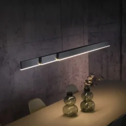 Paul Neuhaus LED Pendelleuchte PURE Moto-Rise platin (grau) elektrisch