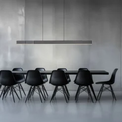 Paul Neuhaus LED Pendelleuchte PURE Moto-Rise platin (grau) elektrisch