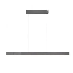 Paul Neuhaus LED Pendelleuchte PURE Moto-Rise platin (grau) elektrisch