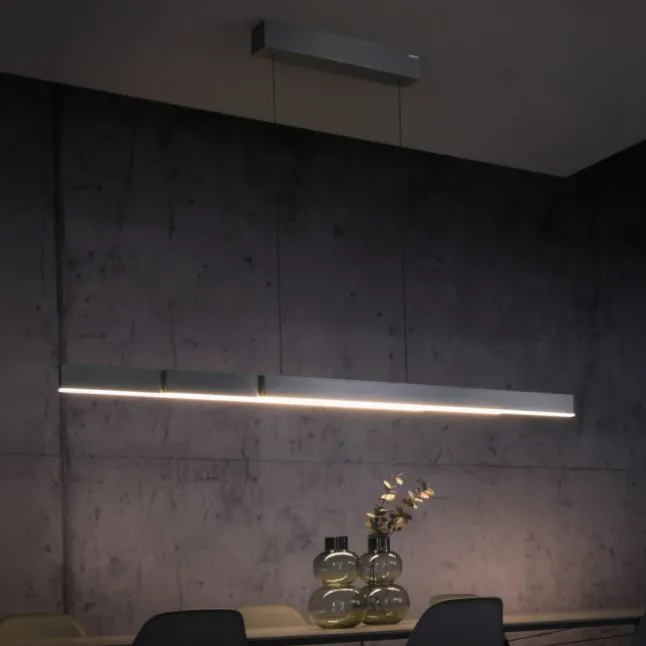 Paul Neuhaus LED Pendelleuchte PURE Moto-Rise platin (grau) elektrisch