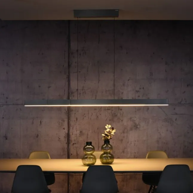 Paul Neuhaus LED Pendelleuchte PURE Moto-Rise platin (grau) elektrisch