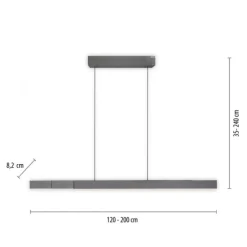 Paul Neuhaus LED Pendelleuchte PURE Moto-Rise platin (grau) elektrisch