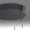 Paul Neuhaus LED Pendelleuchte PURE E-Loop oak/ black pearl elektrisch