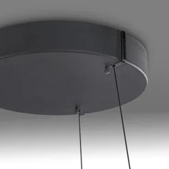 Paul Neuhaus LED Pendelleuchte PURE E-Loop oak/ black pearl elektrisch