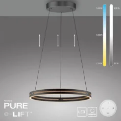 Paul Neuhaus LED Pendelleuchte PURE E-Loop oak/ black pearl elektrisch