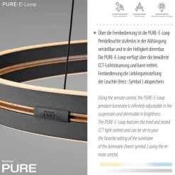 Paul Neuhaus LED Pendelleuchte PURE E-Loop oak/ black pearl elektrisch
