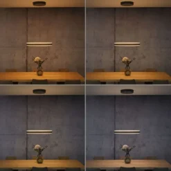 Paul Neuhaus LED Pendelleuchte PURE E-Loop oak/ black pearl elektrisch