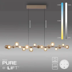 Paul Neuhaus LED Pendelleuchte PURE, bronce, elektrisch höhenverstellb., dimmbar