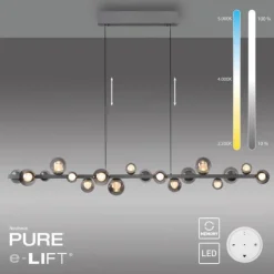 Paul Neuhaus LED Pendelleuchte PURE E-Popup,platin (grau), elektrisch höhenverstellb., dimmbar