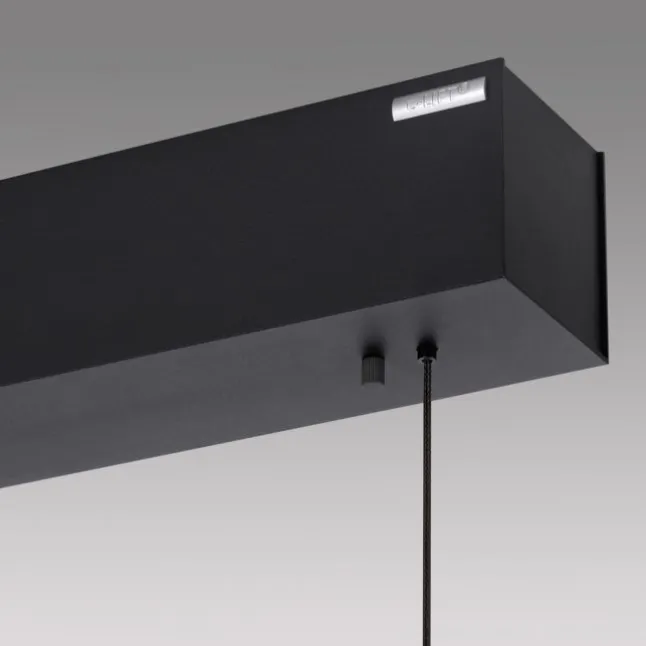 Paul Neuhaus LED Pendelleuchte PURE E-Motion oak/black pearl elektrisch