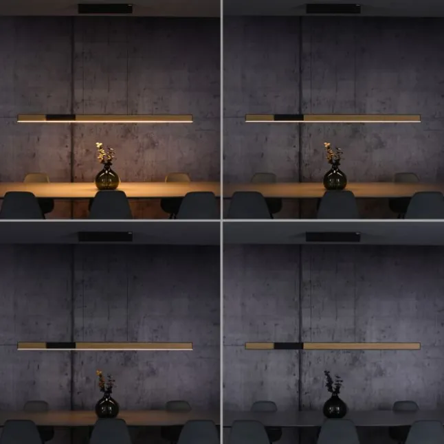 Paul Neuhaus LED Pendelleuchte PURE Moto-Rise oak/black pearl elektrisch