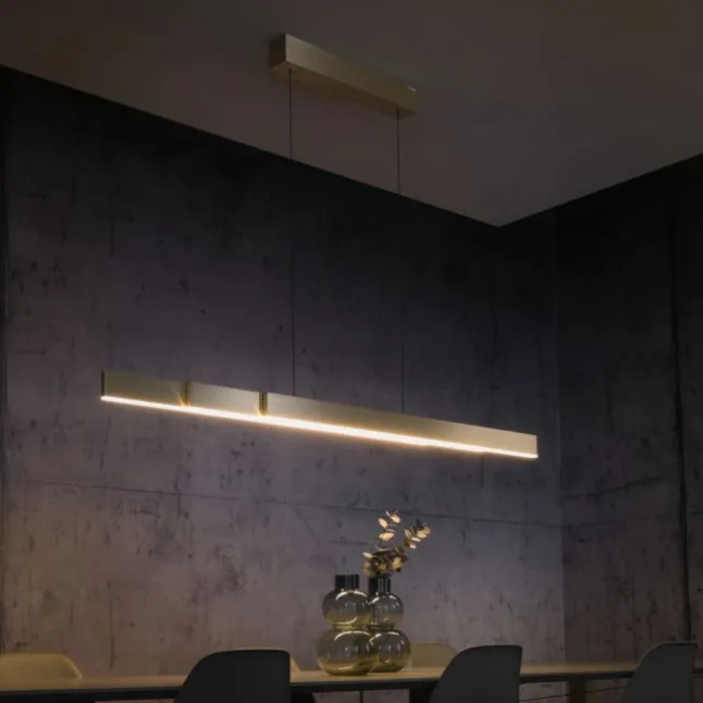 Paul Neuhaus LED Pendelleuchte PURE Moto-Rise imperial gold elektrisch