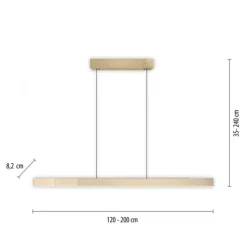 Paul Neuhaus LED Pendelleuchte PURE Moto-Rise imperial gold elektrisch