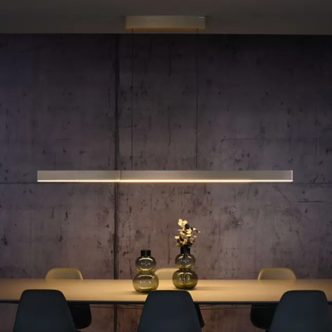 Paul Neuhaus LED Pendelleuchte PURE Moto-Rise imperial gold elektrisch