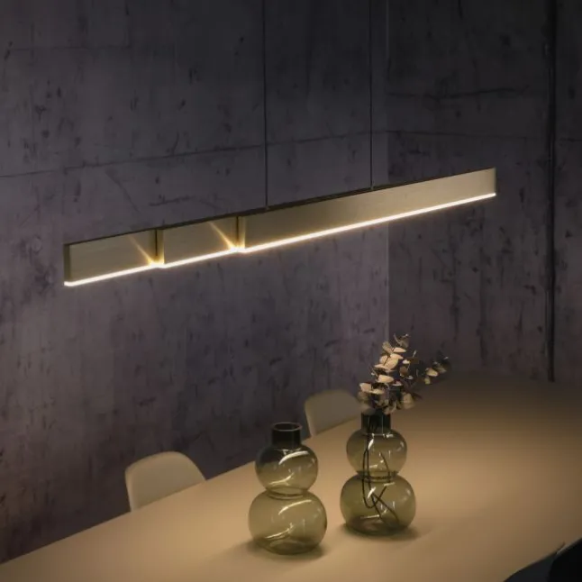 Paul Neuhaus LED Pendelleuchte PURE Moto-Rise imperial gold elektrisch