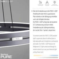 Paul Neuhaus LED Pendelleuchte PURE E-Loop mystic grey (grau) elektrisch