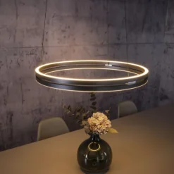 Paul Neuhaus LED Pendelleuchte PURE E-Loop mystic grey (grau) elektrisch