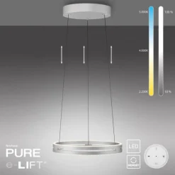 Paul Neuhaus LED Pendelleuchte PURE E-Loop stone (alu) elektrisch