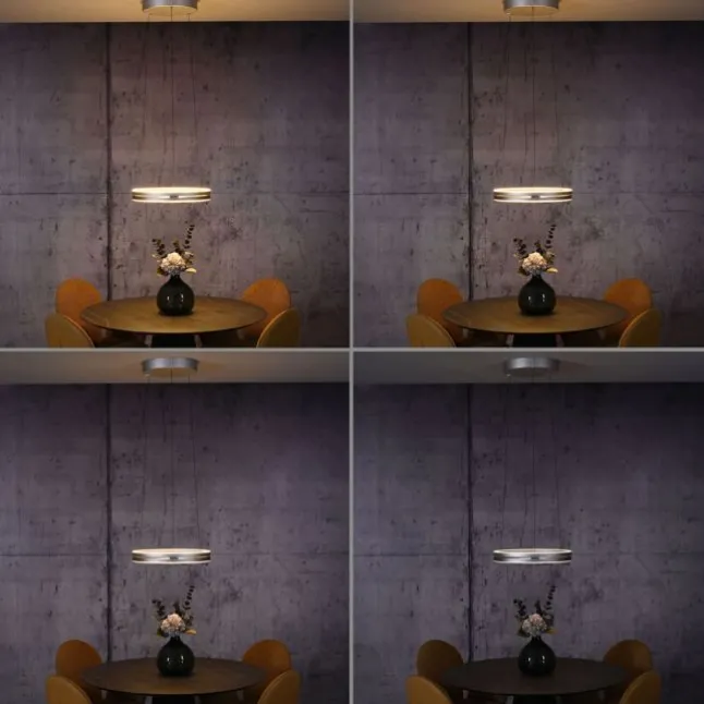 Paul Neuhaus LED Pendelleuchte PURE E-Loop stone (alu) elektrisch