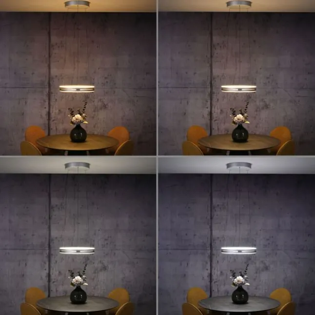 Paul Neuhaus LED Pendelleuchte PURE E-Loop stone (alu) elektrisch