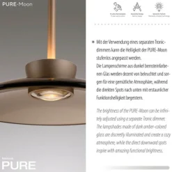 Paul Neuhaus LED Pendelleuchte PURE Moon bronce 3 flammig Lift dimmbar