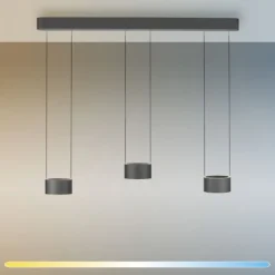 Paul Neuhaus LED Pendelleuchte PURE Clipse, platin (grau), Fernbedienung, Comfort Lift, Memoryfunktion