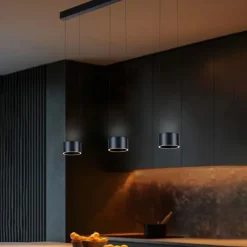 Paul Neuhaus LED Pendelleuchte PURE Clipse, platin (grau), Fernbedienung, Comfort Lift, Memoryfunktion