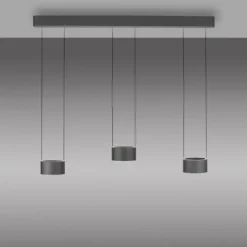 Paul Neuhaus LED Pendelleuchte PURE Clipse, platin (grau), Fernbedienung, Comfort Lift, Memoryfunktion