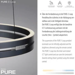 Paul Neuhaus LED Pendelleuchte PURE E-Loop mystic-grey (grau) elektrisch