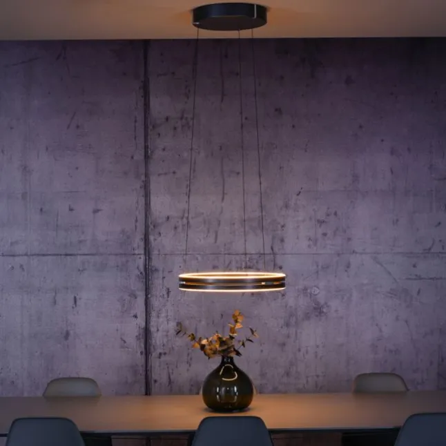 Paul Neuhaus LED Pendelleuchte PURE E-Loop mystic-grey (grau) elektrisch