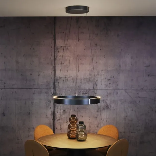 Paul Neuhaus LED Pendelleuchte PURE E-Clipse mystic grey (grau) elektrisch
