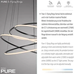 Paul Neuhaus LED Pendelleuchte PURE E-Flying Rings mystic grey (grau) elektrisch