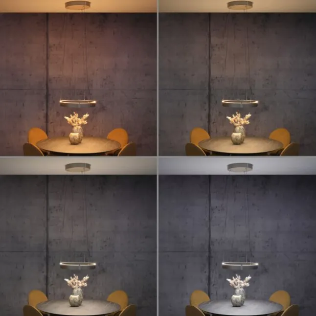 Paul Neuhaus LED Pendelleuchte PURE E-Clipse bronce elektrisch