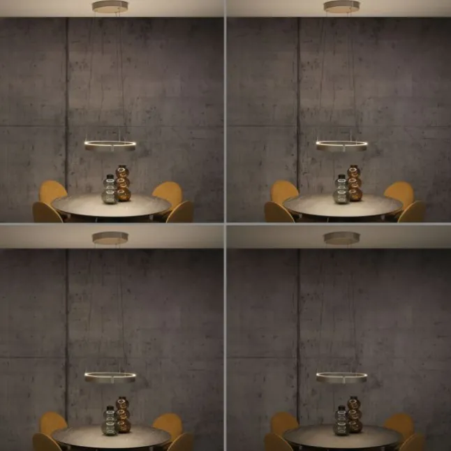 Paul Neuhaus LED Pendelleuchte PURE E-Clipse bronce elektrisch