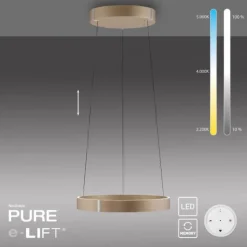 Paul Neuhaus LED Pendelleuchte PURE E-Clipse bronce elektrisch