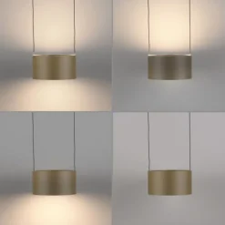 Paul Neuhaus LED Pendelleuchte PURE Clipse, bronce, Fernbedienung, Comfort Lift, Memoryfunktion
