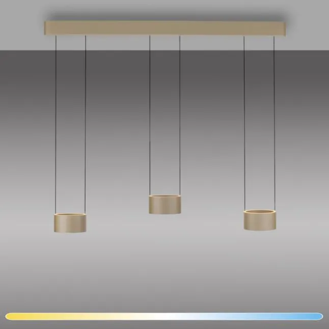 Paul Neuhaus LED Pendelleuchte PURE Clipse, bronce, Fernbedienung, Comfort Lift, Memoryfunktion