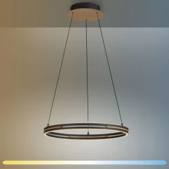 Paul Neuhaus LED Pendelleuchte, Ringleuchte SVEJA, Holz-natur