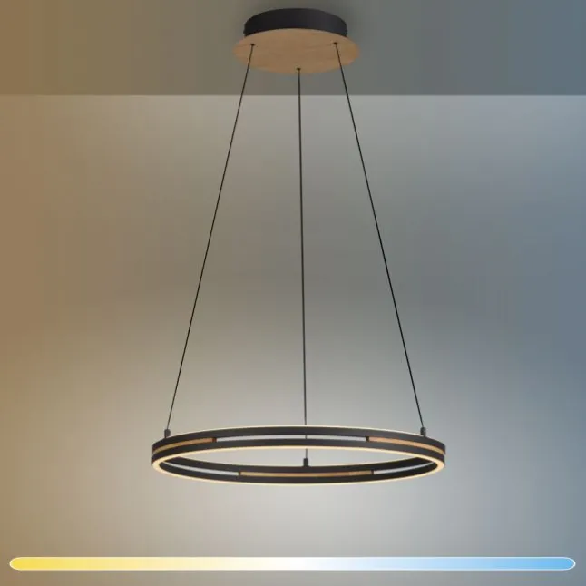 Paul Neuhaus LED Pendelleuchte, Ringleuchte SVEJA, Holz-natur