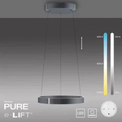 Paul Neuhaus LED Pendelleuchte PURE E-Clipse mystic grey (grau) elektrisch