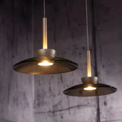 Paul Neuhaus LED Pendelleuchte Pure Moon, bronce, dimmbar