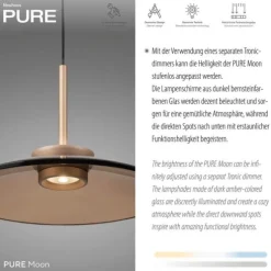 Paul Neuhaus LED Pendelleuchte Pure Moon, bronce, dimmbar