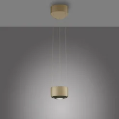 Paul Neuhaus LED Pendelleuchte Q-STRETTO, bronce, dimmbar, Fernbedienung