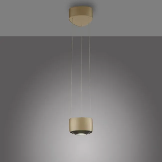 Paul Neuhaus LED Pendelleuchte Q-STRETTO, bronce, dimmbar, Fernbedienung