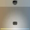 Paul Neuhaus LED Pendelleuchte Q-STRETTO, schwarz, dimmbar, Fernbedienung
