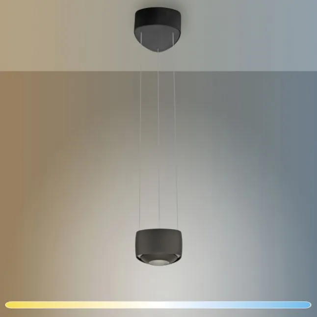 Paul Neuhaus LED Pendelleuchte Q-STRETTO, schwarz, dimmbar, Fernbedienung