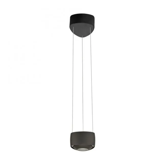 Paul Neuhaus LED Pendelleuchte Q-STRETTO, schwarz, dimmbar, Fernbedienung