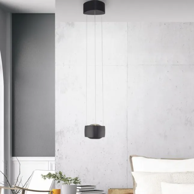 Paul Neuhaus LED Pendelleuchte Q-STRETTO, schwarz, dimmbar, Fernbedienung